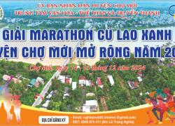 Giải marathon năm 2024